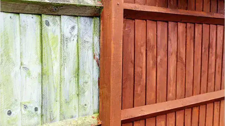 Mossy Fence Restored with Rich Stain