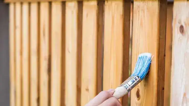 Fence Staining Services