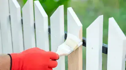 Timber & Wood Fence Painting